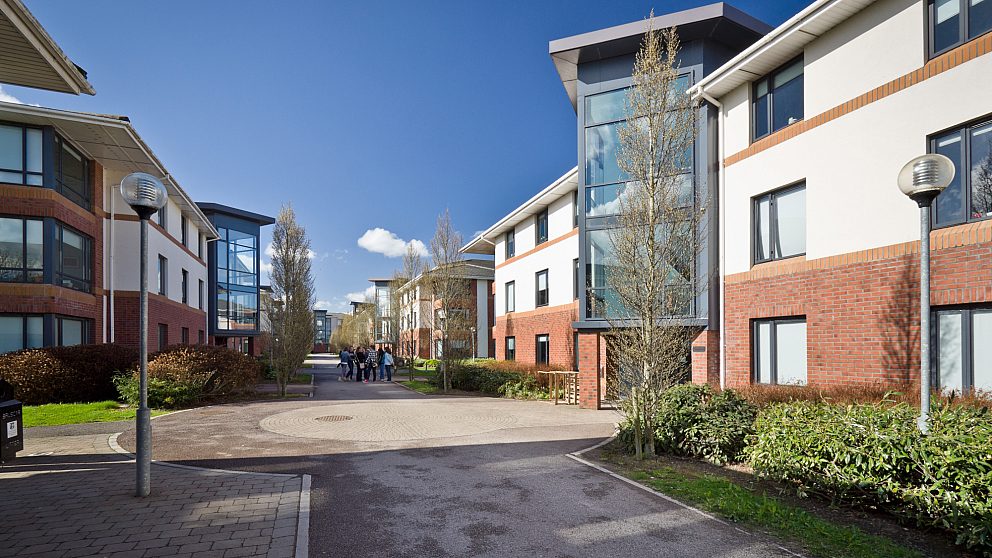 Summer Irish Studies at Maynooth University in Dublin API Abroad